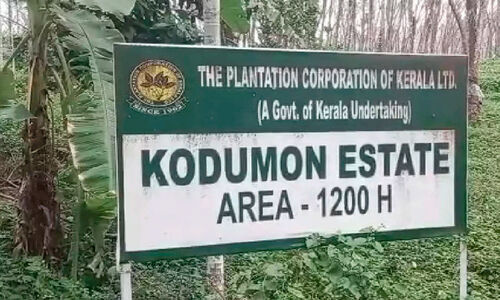 പ്ലാന്‍റേഷൻ കോർപറേഷനിൽ തൊഴിലാളികൾക്ക്​ ദുരിതം