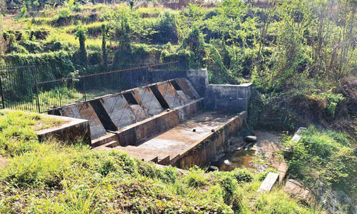 ലക്ഷങ്ങൾ മുടക്കി ചെക്ക്ഡാം നിർമിച്ചു;വരണ്ടുണങ്ങി എടത്തറച്ചോല ലക്ഷങ്ങൾ മുടക്കി ചെക്ക്ഡാം നിർമിച്ചു;വരണ്ടുണങ്ങി എടത്തറച്ചോല