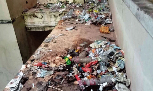 മാലിന്യം കുന്നുകൂടുന്നു: പാരിപ്പള്ളി മെഡിക്കൽ കോളജിൽ കൊതുകുശല്യം മാലിന്യം കുന്നുകൂടുന്നു: പാരിപ്പള്ളി മെഡിക്കൽ കോളജിൽ കൊതുകുശല്യം