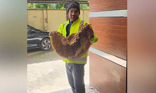 തേ​ൻ​കൃ​ഷി​യി​ൽ ഉ​മ​റ​ലി ഷി​ഹാ​ബിന്റെ വി​ജ​യ​ഗാ​ഥ