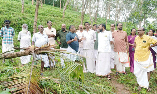 അ​ക​മ​ല​യി​ലെ വ​ന്യ​മൃ​ഗ ശ​ല്യം; വേ​ണം, അ​ടി​യ​ന്ത​ര ന​ട​പ​ടി