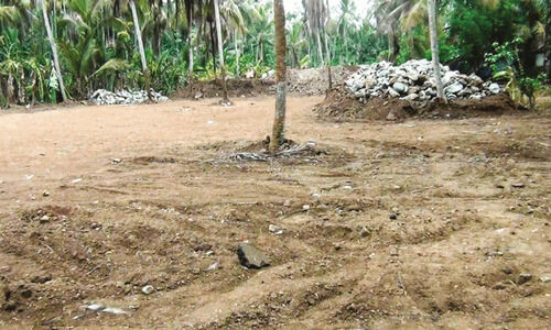 മലയോര പാത നിർമാണ മറവിൽ ഒരേക്കറിലധികം ഭൂമി നികത്തിയെന്ന് പരാതി