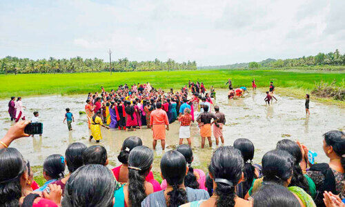 ‘മഴപ്പൊലിമ’യുടെ താളത്തിമിർപ്പിൽ വയലേലകൾ