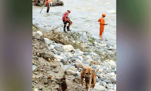 ഇ​വ​രും തി​ര​ച്ചി​ലി​ലാ​ണ്