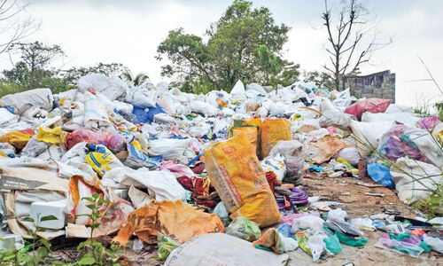 മാലിന്യസംസ്കരണം താറുമാറായി; ചീഞ്ഞുനാറി നരിയറക്കുന്ന്