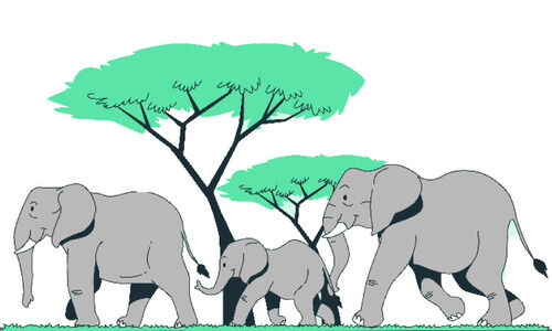 വനം നിയമ ഭേദഗതി ബിൽ;നെഞ്ചിടിപ്പോടെ മലയോര കുടുംബങ്ങൾ വനം നിയമ ഭേദഗതി ബിൽ;നെഞ്ചിടിപ്പോടെ മലയോര കുടുംബങ്ങൾ