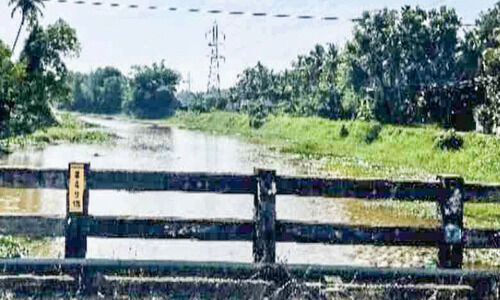 എ​ള​വ​ള്ളി​യി​ലെ കൃ​ത്രി​മ ത​ടാ​കം: പ​ദ്ധ​തി ചെ​ല​വ് 46 കോ​ടി