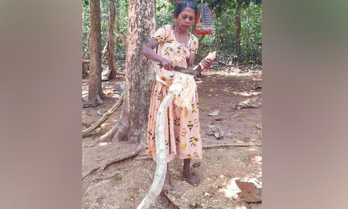 തണ്ണിത്തോട് റോഡിൽ ഇഞ്ചവെട്ട് സജീവം; സഞ്ചാരികൾക്ക്​ കൗതുകം