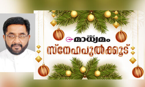 ക്രി​സ്തു​വി​ലേ​ക്ക് വ​ഴി​കാ​ട്ടു​ന്ന ന​ക്ഷ​ത്ര​ങ്ങ​ളാ​യി മാ​റു​ക