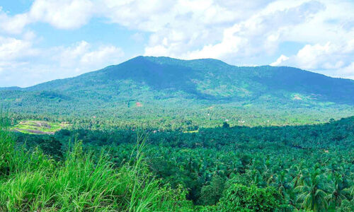 ഇന്ന് ദേശീയ വിനോദ സഞ്ചാരദിനം; ടൂറിസം വികസനത്തിന് പദ്ധതിയൊരുക്കി മങ്കട പഞ്ചായത്ത് ഇന്ന് ദേശീയ വിനോദ സഞ്ചാരദിനം; ടൂറിസം വികസനത്തിന് പദ്ധതിയൊരുക്കി മങ്കട പഞ്ചായത്ത്