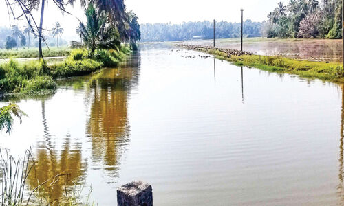 വി​ക​സ​ന​പ്ര​തീ​ക്ഷ​ക​ളി​ൽ മാ​രേ​ക്കാ​ട്