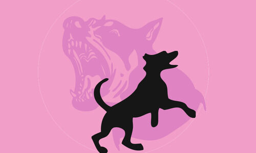 എടവണ്ണപ്പാറയിൽ നാലുപേർക്ക് തെരുവ് നായുടെ കടിയേറ്റു എടവണ്ണപ്പാറയിൽ നാലുപേർക്ക് തെരുവ് നായുടെ കടിയേറ്റു