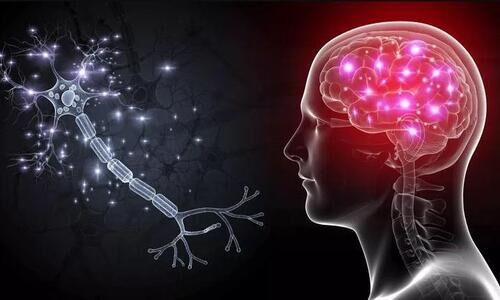 തലച്ചോറുകൊണ്ട് ചിന്തിക്കാം