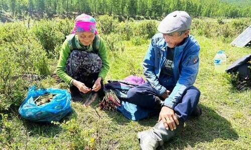 നഷ്ടക്കച്ചവടം നഷ്ടക്കച്ചവടം