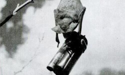 രണ്ടാം ലോകയുദ്ധത്തിലെ വവ്വാൽ യുദ്ധം