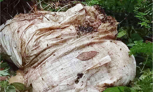 റോഡിൽ മാലിന്യം തള്ളുന്നത്​ പതിവാകുന്നു