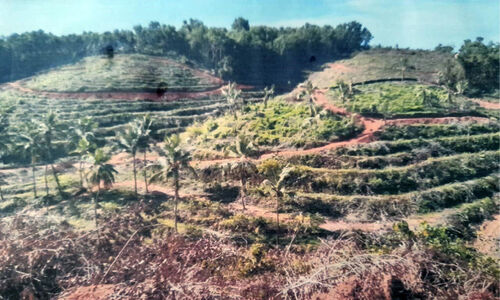 പരിസ്ഥിതി മലിനീകരണം; വ്യവസായ പാര്ക്കിനെതിരെ പ്രതിഷേധവുമായി പരിസരവാസികള് പരിസ്ഥിതി മലിനീകരണം; വ്യവസായ പാര്ക്കിനെതിരെ പ്രതിഷേധവുമായി പരിസരവാസികള്