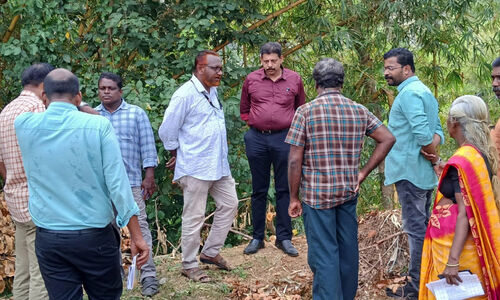 അരുവിപ്പുറത്തെ മരം മുറി; ആര്‍.ഡി.ഒ പരിശോധിച്ചു