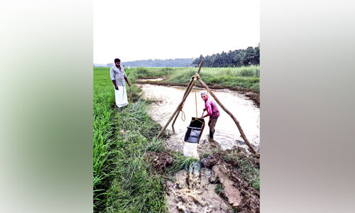 ഹൃദ്യം, മനോഹരം; കാലം മറന്ന കാർഷിക കാഴ്ചകൾ ഹൃദ്യം, മനോഹരം; കാലം മറന്ന കാർഷിക കാഴ്ചകൾ