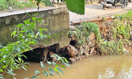 ന​രി​ക്കാ​ട്ടേ​രി റോ​ഡി​ൽ പാ​ലം അ​പ​ക​ടാ​വ​സ്ഥ​യി​ൽ