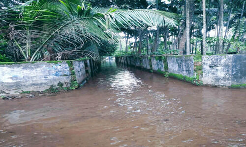പുതിയിരുത്തി സ്വാമിപ്പടി-ആലുംതാഴം റോഡ്; വെള്ളക്കെട്ടിൽ പുതിയിരുത്തി സ്വാമിപ്പടി-ആലുംതാഴം റോഡ്; വെള്ളക്കെട്ടിൽ