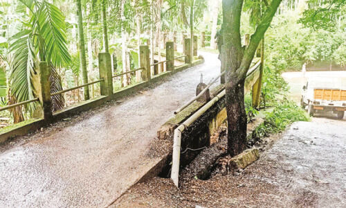 പ​ന്നി​ക്കോ​ട്ടു​മു​ണ്ട പാ​ലം;  കാ​ത്തി​രി​പ്പി​ന്റെ പ​ത്ത് വ​ർ​ഷം