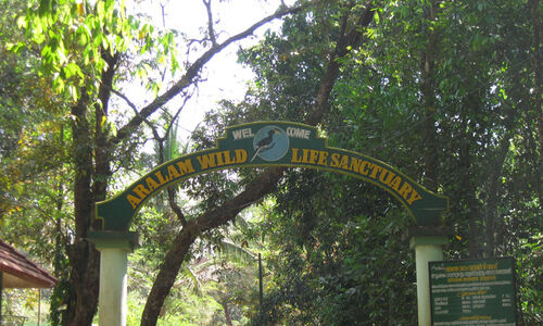 ആറളം ഫാമിൽ ആനമതിൽ നിർമാണ കരാർ റദ്ദാക്കി