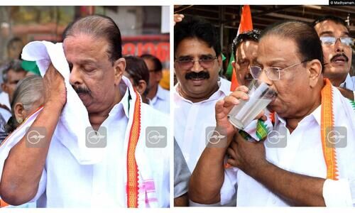 ഹോ... എന്തൊരു പ്രചാരണച്ചൂട്...