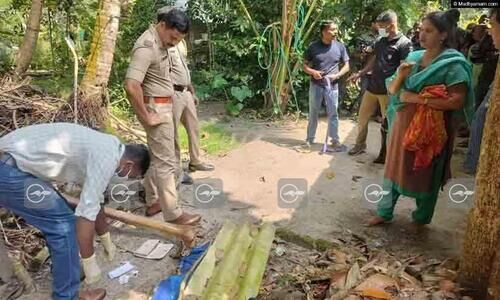 വീടുകളിൽ ഉറങ്ങിക്കിടന്ന സ്ത്രീകളുടെ മാലകൾ കവർന്നു; മോഷ്ടാക്കൾ അകത്തുകടന്നത് അടുക്കള വാതിൽ തകർത്ത്, കുറുവ സംഘമെന്ന് സംശയം