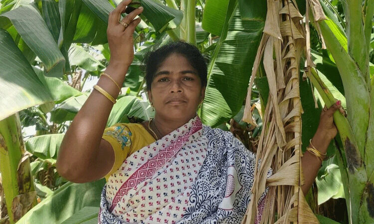 പെൺമക്കളുടെ വിദ്യാഭ‍്യാസത്തിന് പണം കണ്ടെത്താൻ ആ 42കാരി മണ്ണിലിറങ്ങി. ഇന്ന് സ്വന്തം ബ്രാൻഡിൽ നൂറിലധികം പാക്കറ്റ് ഉൽപന്നങ്ങൾ വിൽക്കുന്നു