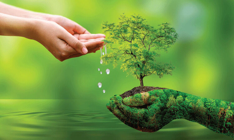 ‘എത്ര മഴ പെയ്താലും വേനലിൽ കിണർ വറ്റാറുണ്ടോ?’ -ഇക്കാര്യങ്ങൾ ചെയ്താൽ വേനലിലും കിണർ വെള്ളം ഉപയോഗിക്കാം