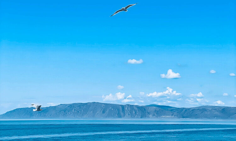 ‘ഇന്ത്യയുടെ മൊത്തം കരവിസ്തൃതിയുടെ രണ്ടര ഇരട്ടിയോളം വരുന്ന വനമേഖല, ലോകത്തിലെ ഏറ്റവും വലിയ മെട്രോ നെറ്റ്‌വർക്കുകളിൽ ഒന്ന്’ -വിസ്മയങ്ങളുടെ പറുദീസയായ റഷ‍്യയിലേക്കൊരു യാത്ര