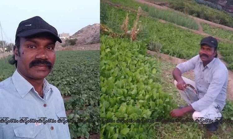 സൗദിയിലെത്തിയത് ഡ്രൈവറാകാൻ, ചതിക്കപ്പെട്ടതോടെ വർഷങ്ങളോളം ദുരിതം. തളർന്നുവീണിടത്തുനിന്ന് കർഷകനായി ഉയിർത്തെഴുന്നേറ്റ ആ പ്രവാസിയിതാ...