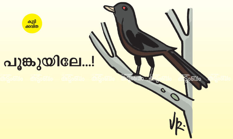 കുട്ടിക്കവിത: പൂങ്കുയിലേ...!