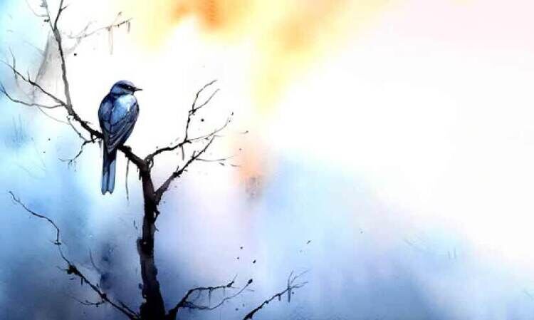 നോട്ടങ്ങൾ