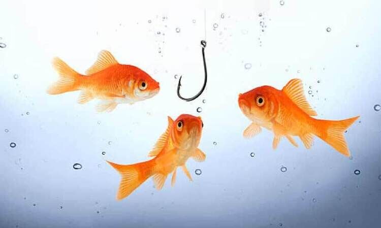 ഇരയെ പിടിക്കുന്നത് എങ്ങനെ?