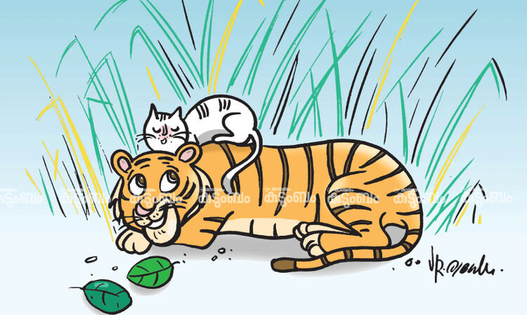 കുട്ടിക്കഥ: കടുവയും പൂച്ചക്കുഞ്ഞും