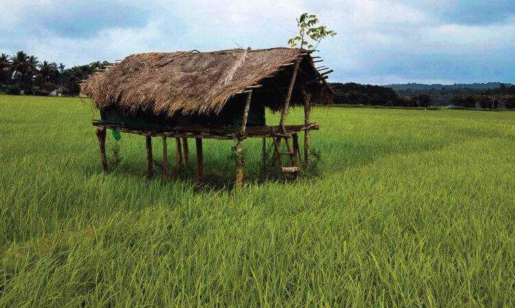 ബിരിയാണിച്ചെമ്പ് പൊട്ടിക്കുമ്പോഴുള്ള ഗന്ധം അതിലും മനോഹരമായി ആസ്വദിക്കാൻ ഇവിടെ എത്തിയാൽ മതി