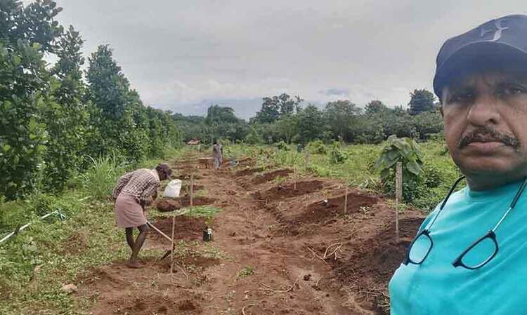 പരീക്ഷണത്തിനായി റബറെല്ലാം വെട്ടിമാറ്റി പ്ലാവിൻതൈ നട്ടു, ഇന്ന് ചക്ക ബിസിനസിൽ മികച്ച വരുമാനവുമായി സലീം