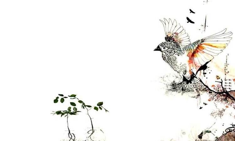 ഇടവേളക്കിളികൾ ഇടവേളക്കിളികൾ