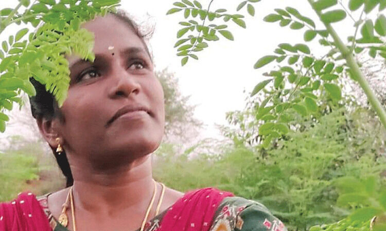 മുരിങ്ങയിൽനിന്ന് പൊന്ന് വിളയിച്ച് പൊന്നരശി