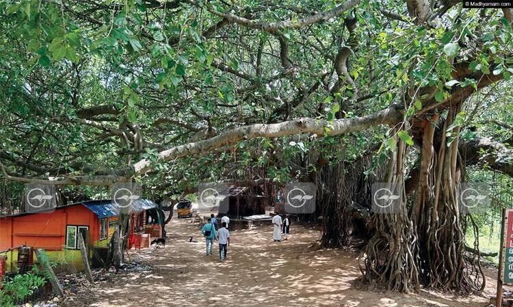 കൊല്ലങ്കോട്ടേക്ക്​​ ഒരു യാത്ര പോയാലോ