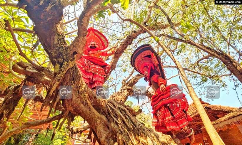 മരംകേറിയ തെയ്യങ്ങൾ...