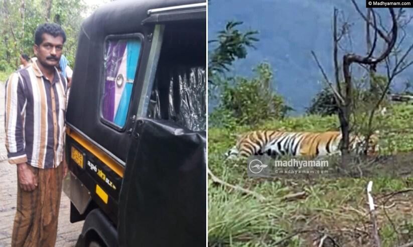 പ്ലാക്കയത്ത് കാട്ടാന ആക്രമണം, ചിന്നക്കനാലിൽ പുലി നായയെ കൊന്നു, കൊളുക്ക് മലയിൽ കടുവ; ജനം ഭീതിയിൽ പ്ലാക്കയത്ത് കാട്ടാന ആക്രമണം, ചിന്നക്കനാലിൽ പുലി നായയെ കൊന്നു, കൊളുക്ക് മലയിൽ കടുവ; ജനം ഭീതിയിൽ