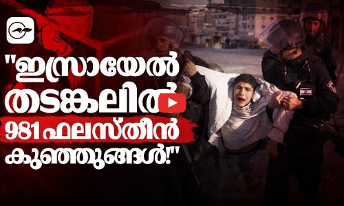 ഇസ്രായേൽ തടങ്കലിൽ 981 ഫലസ്തീൻ കുഞ്ഞുങ്ങൾ!| Madhyamam |