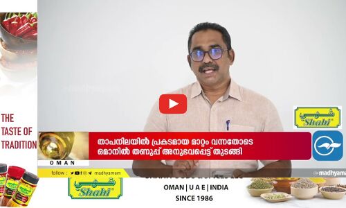 പ്രവാസികൾക്ക് വോട്ടവകാശം; പ്രതീക്ഷകൾ അസ്തമിക്കുന്നു