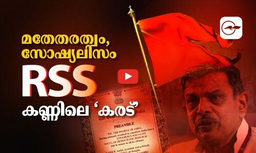 മതേതരത്വം, സോഷ്യലിസം-ആർ.എസ്.എസ് കണ്ണിലെ ‘കരട്’