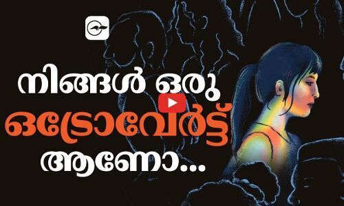 നിങ്ങൾ ഒരു ഒട്രോവേർട്ട് ആണോ...