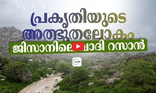 പ്രകൃതിയുടെ അത്ഭുതലോകം: ജിസാനിലെ വാദി റസാൻ