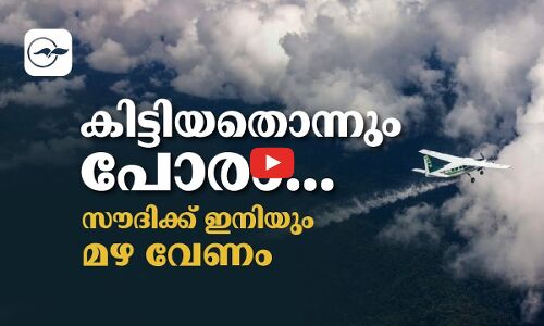 കിട്ടിയതൊന്നും പോരാ... സൗദിക്ക് ഇനിയും മഴ വേണം